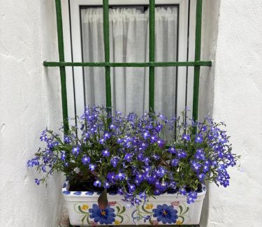 Cantillana Maison | La Clara Domus