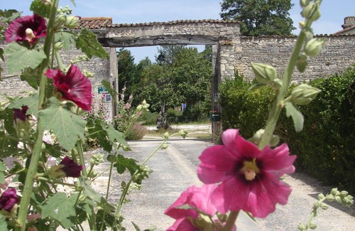 Clavette Maison | La Collegiale