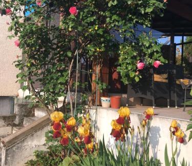 Sainte-Colombe Appartement | La Colombe