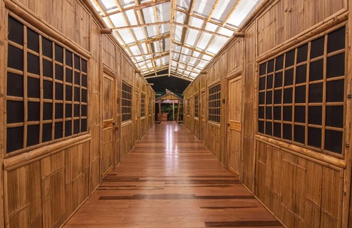 Palma Hôtel | La Cotinga Biological Station