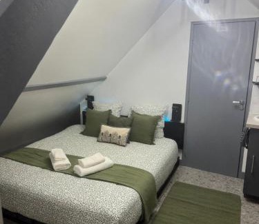 La Chapelle-Saint-Mesmin Appartement | La détente