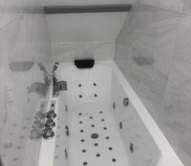 La Chapelle-Saint-Mesmin Appartement | La détente