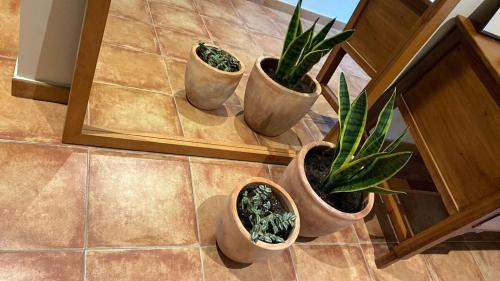 Buera Appartement | La falsa de Palacio