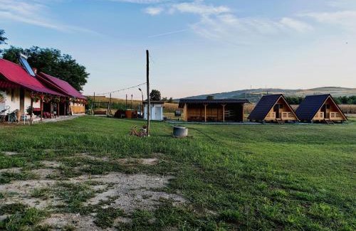 Seica Mare Autre | La Fermă