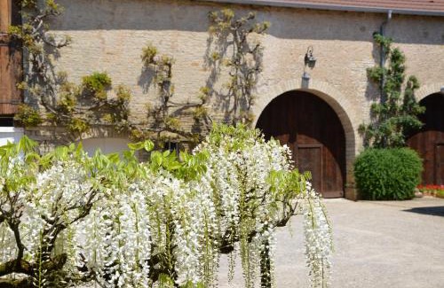 Aillevans Maison | La ferme aux glycines