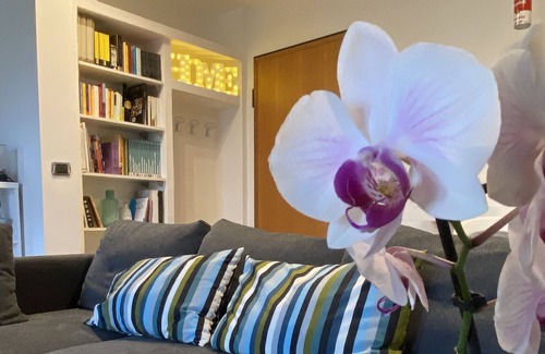Municipio 5 Appartement | La Flor de la Mar: Appartement à deux pas de la mer!