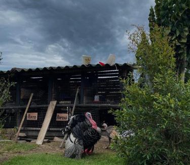 Tumbabiro Cabine | La Fogata l Rancho Chachimbiro