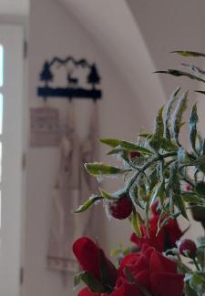 Montagnaga Appartement | La Fontana di Casa Bernardi, terrazzo Wi-Fi PetFriendly con Area Cani
