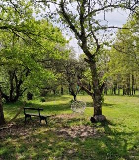 Bergerac Appartement | La Forestine