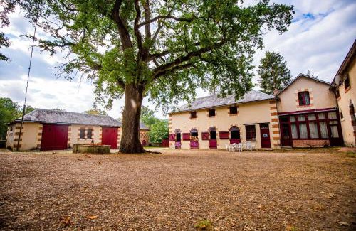 Cour-Cheverny Maison | La Forge