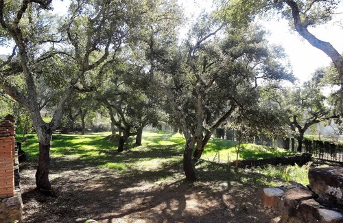 Aracena Cottage | Maison rurale La Gallega. Charme et tranquillité dans la Sierra de Aracena.
