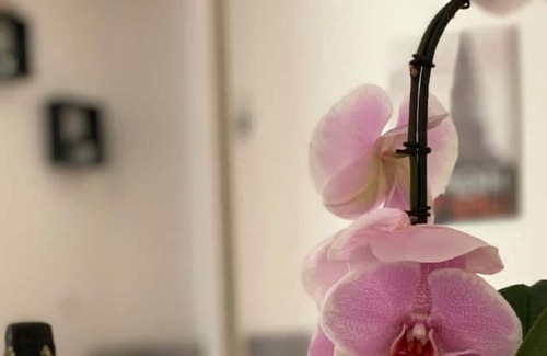 Charolles Appartement | La Garçonnière