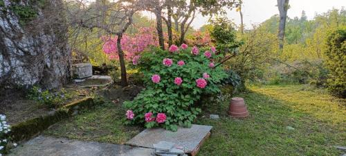 Cavaglia Maison | La Ginestra