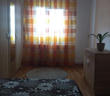 Fagaras Appartement | La Han