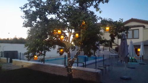 Corella Appartement | La Huerta Corella