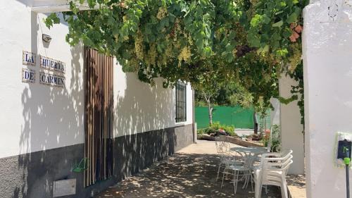 Mogon Maison | La huerta de Carmen