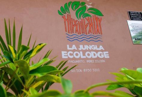 San Isidro de El General Autre | La jungla ecolodge