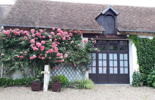 Nouans-les-Fontaines Lit Et Petit-Déjeuner | La Lévrière