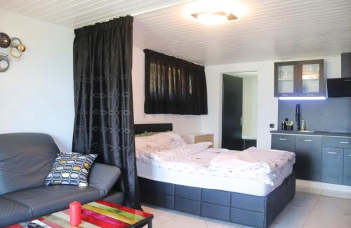 Monthey Appartement | la lapia