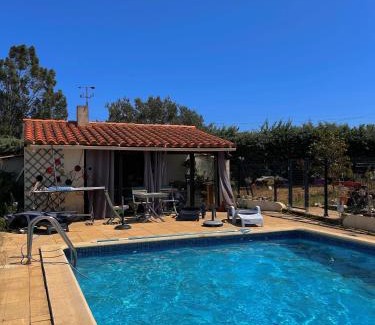 Montauriol Appartement | La libellule