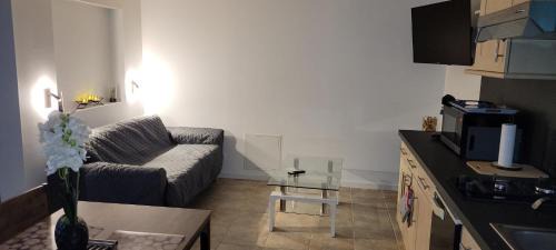Labastide-de-Levis Appartement | La lisière tarnaise