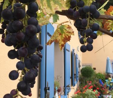 Saint-Barthelemy Lit Et Petit-Déjeuner | La Mésange bleue