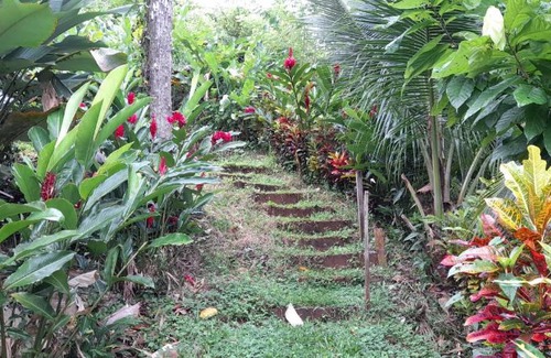 El Castillo Appartement | La Mariola - Finca Agroecológica