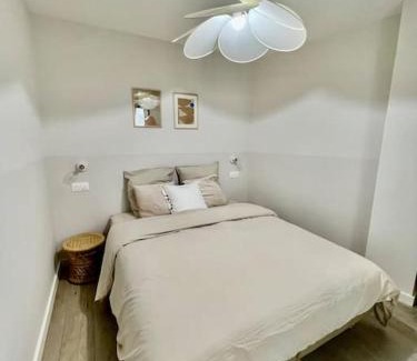 Anse Appartement | La Madeleine, T2 Cœur Ville