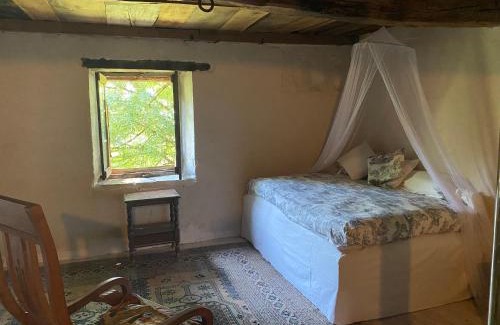 Vabre Maison | La Maison dans la forêt