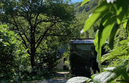 Vabre Maison | La Maison dans la forêt