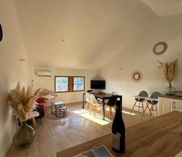 Roquebrun Maison | La maison de Consuelo