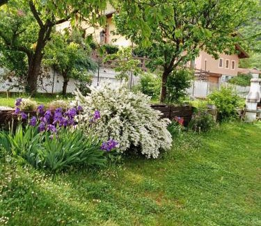 Barche Appartement | la maison des fleurs