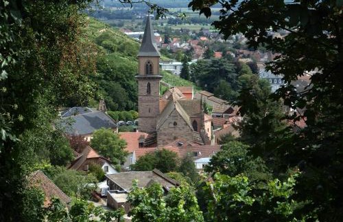 Ribeauville Maison | La Maison des Tanneurs