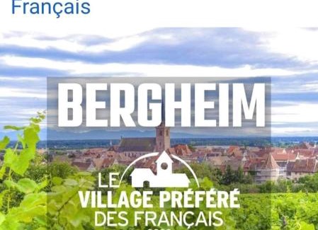 Ribeauville Maison | La Maison des Tanneurs