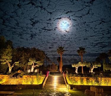Ronda Maison | La Marabulla