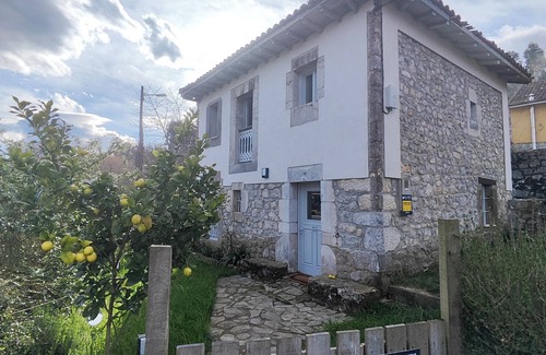 Vidiago Maison | La Mariñana 1864. Riego, Llanes.