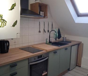 Mulhouse Appartement | La Mulhousienne F3 Centre ville