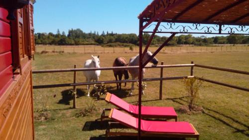 Le Cailar Lit Et Petit-Déjeuner | La Nanou'che (roulotte en Camargue)