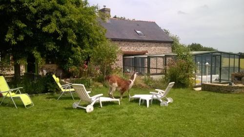 La Bouexiere Maison | La P'tit' Fugue