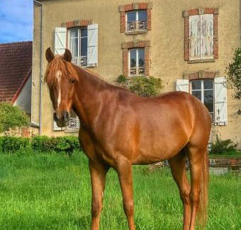 Dun-le-Palestel Lit Et Petit-Déjeuner | La Palude
