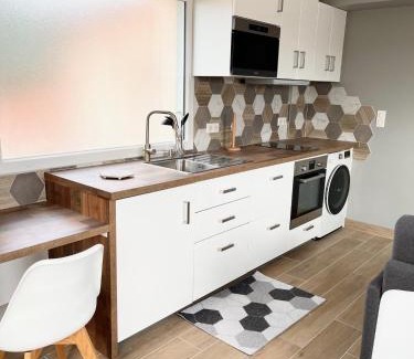 Ternay Appartement | La Parenthèse Balnéo T2 Cosy de 40m² avec terrasse