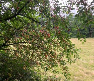 Fougerolles Maison | La Parenthèse gîte à la campagne