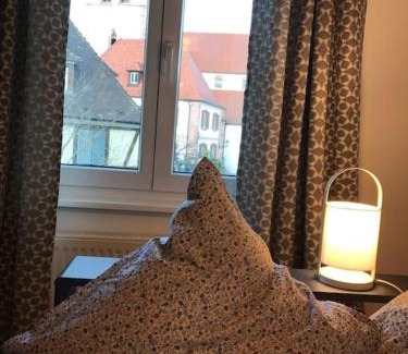 Ammerschwihr Appartement | * La Petite Alsacienne *