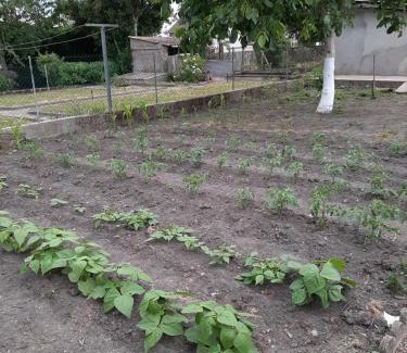 Vierzon Maison | La petite escale