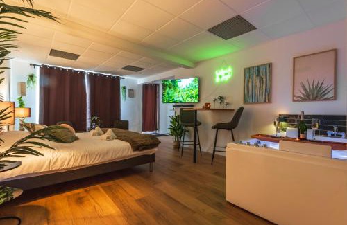 Schweighouse-sur-Moder Appartement | La Petite Jungle Romantique - Balnéo et Détente