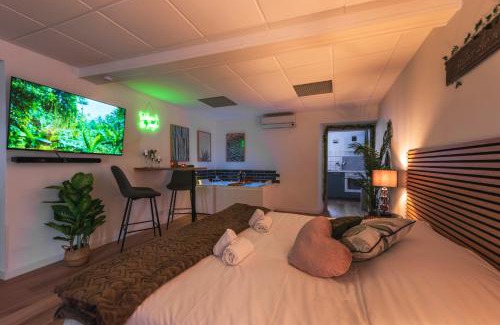 Schweighouse-sur-Moder Appartement | La Petite Jungle Romantique - Balnéo et Détente
