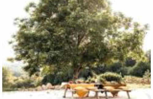 Jumilhac-le-Grand Maison | La Petite Grange des Vignes - peace and quiet in the countryside