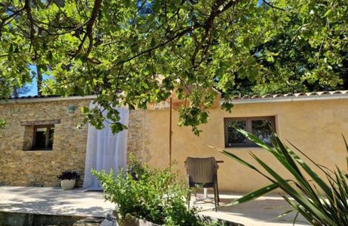 Faucon Maison | La petite Pinede
