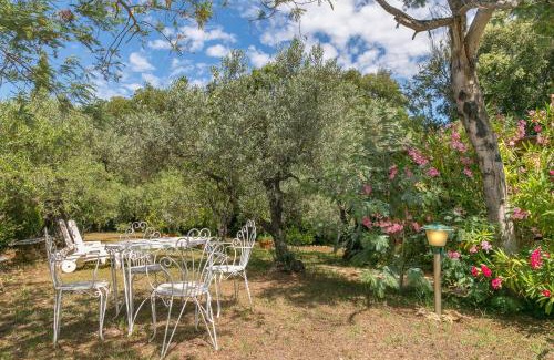 Guardistallo Appartement | La Poggiolina in Toscana