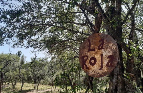 Las Rosas Maison | La Roja y Barro tal vez